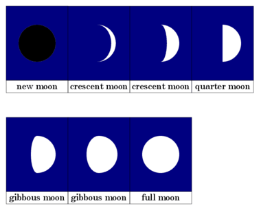 Phases of the Moon — free Montessori astronomy printout