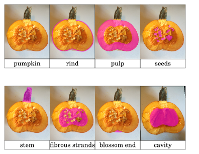 Pumpkin Parts